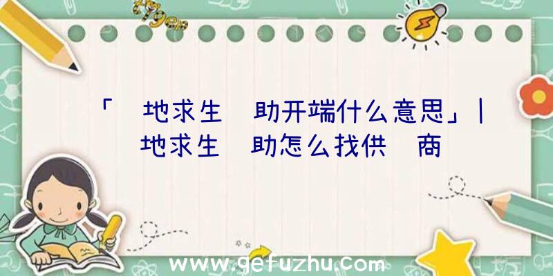 「绝地求生辅助开端什么意思」|绝地求生辅助怎么找供货商